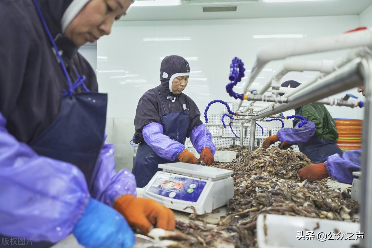 浙江那边哪些工厂能挣钱,浙江夏天哪些工厂效益好