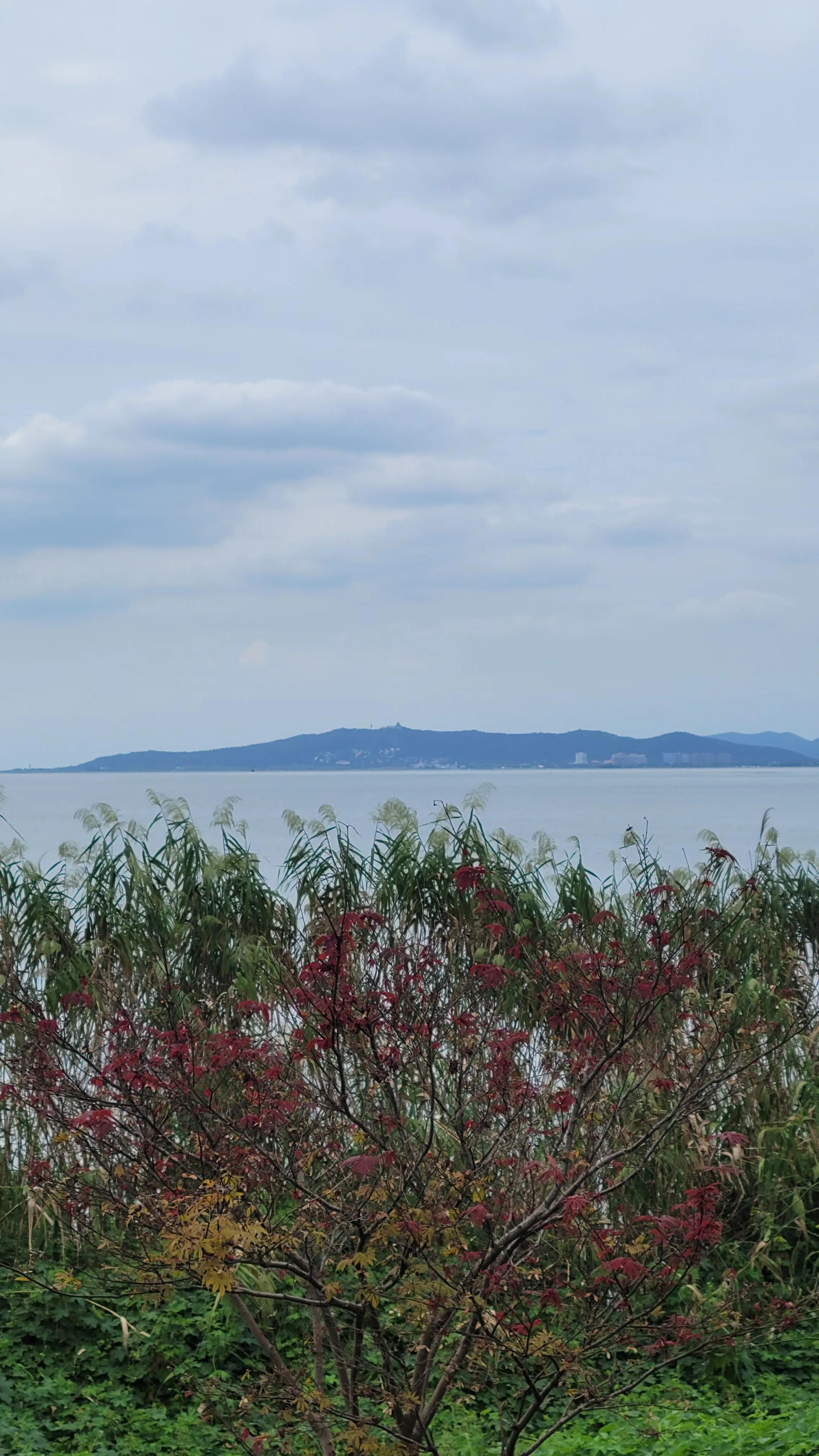 苏州胥口太湖有什么好玩的,环太湖苏州段景点