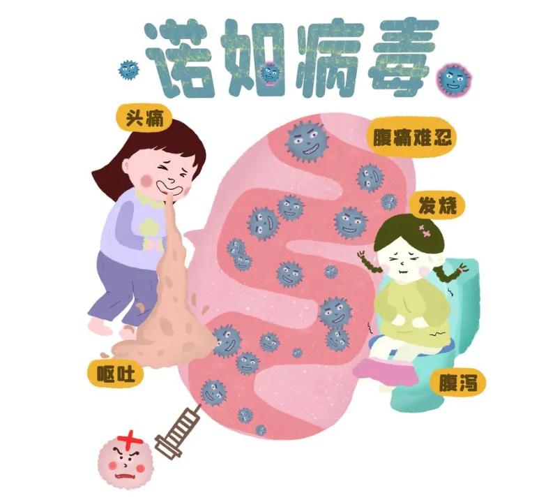 上吐下泻小孩诺如病毒来势汹汹,孩子呕吐怎么判断是诺如病毒