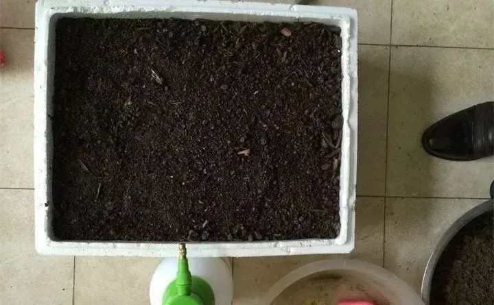 新手养花必学自制营养土,营养土田园土养花1比1可以吗