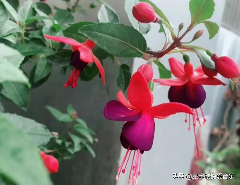 分享惊艳的图片,分享美景的图片卡点