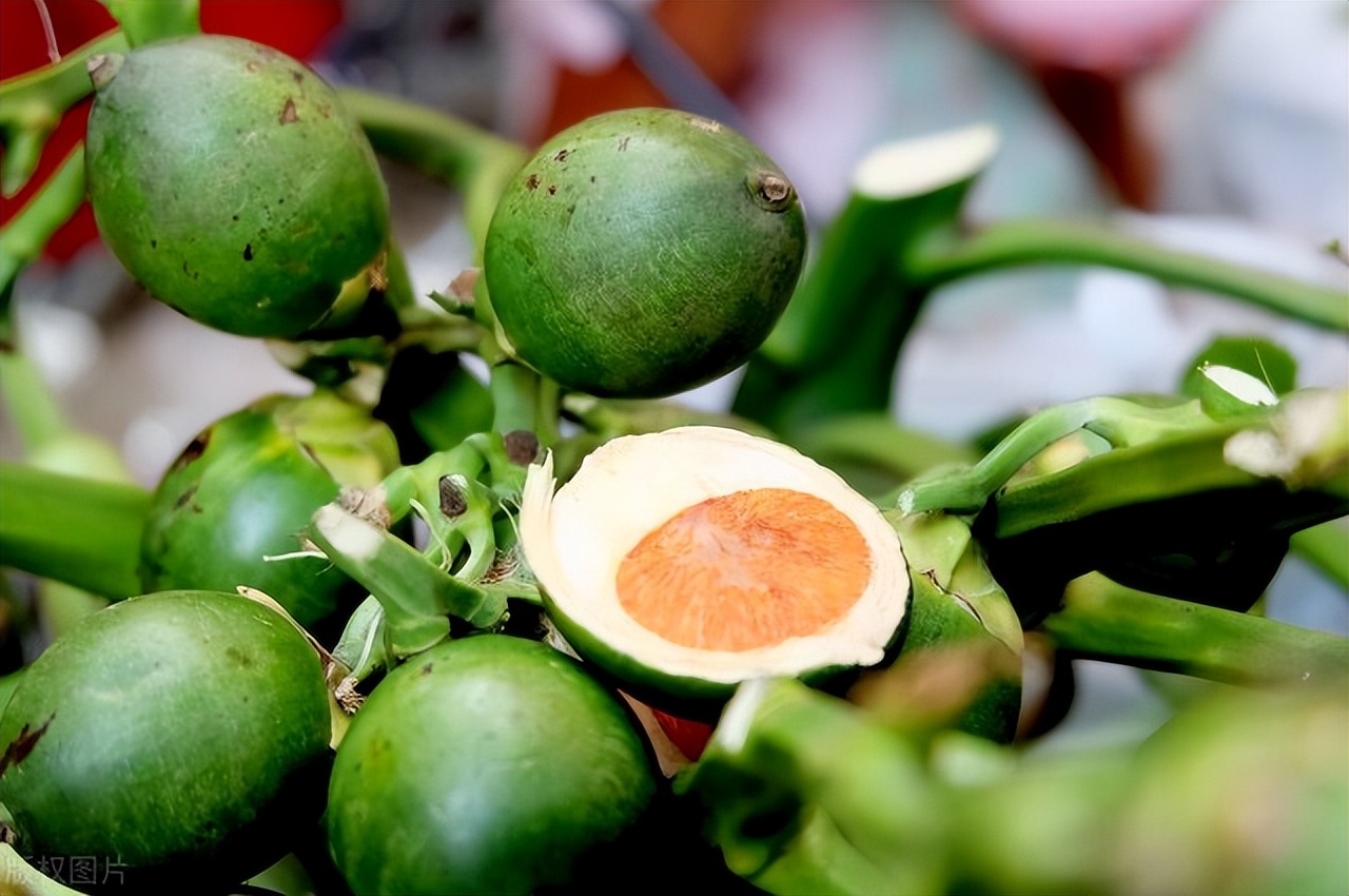 千亿槟榔的危害,槟榔毁了你的前途