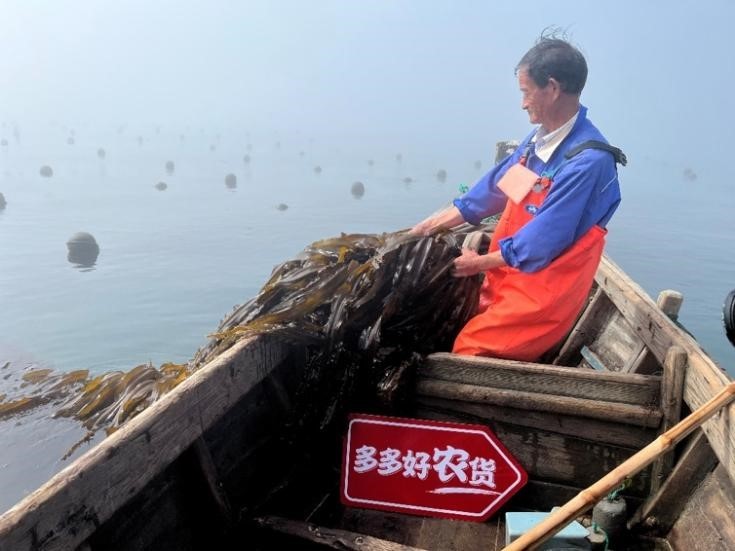 鑽ｆ垚娴峰甫鍙戝睍鐜扮姸,鑽ｆ垚娴峰甫浜т笟