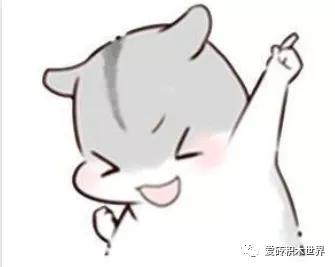 「爱砖MOC每日推送」用积木在现实中游玩战地1一战哥达式轰炸机