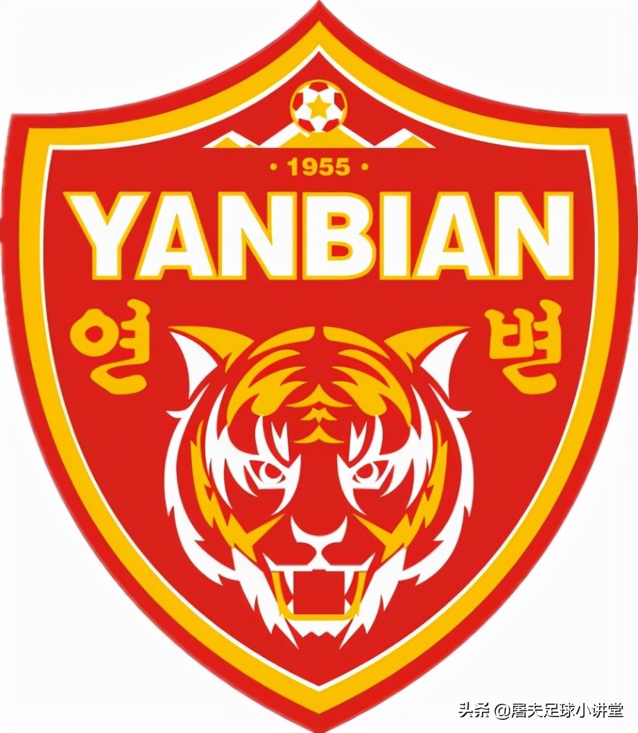 老虎代表的足球队,老虎是国内哪个足球队的队标