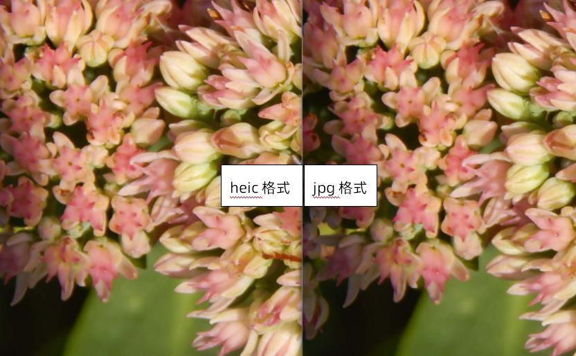 heic文件怎么批量改成jpg格式,怎么打开heic格式文件