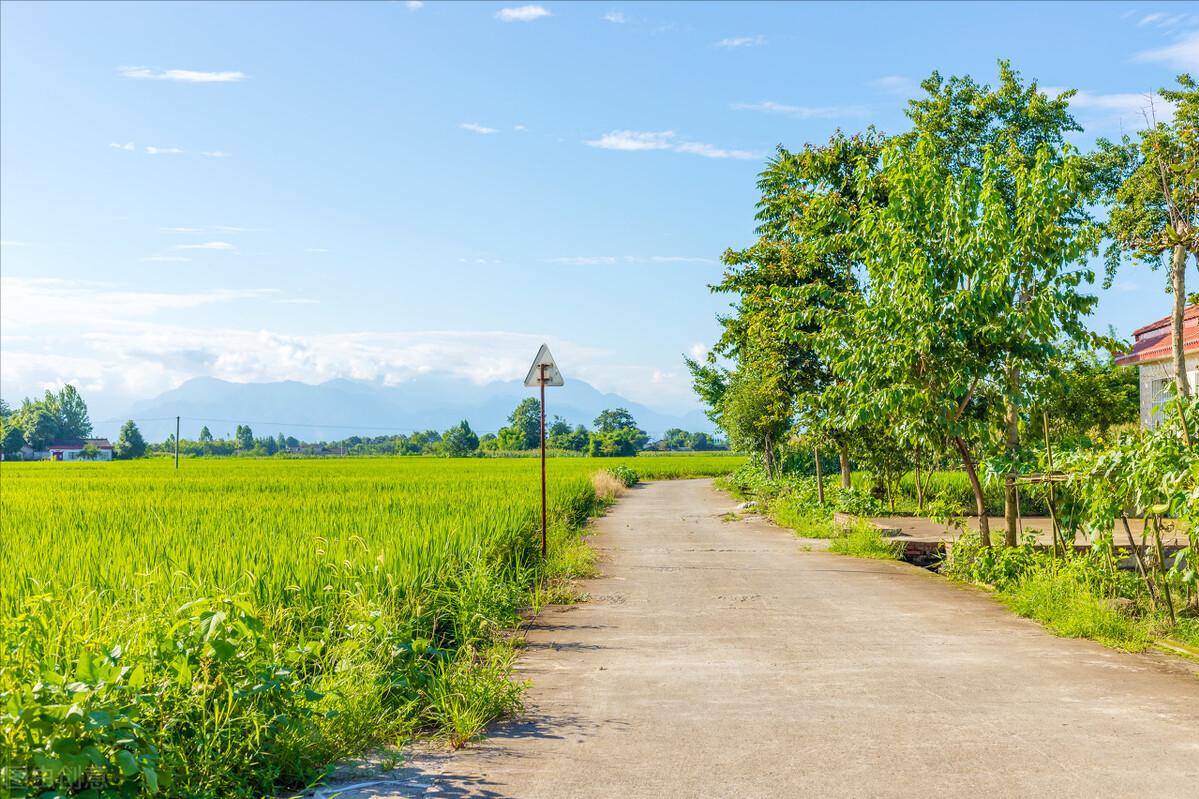 岁月曾经静好；我们，曾经在这里种菜撸猫