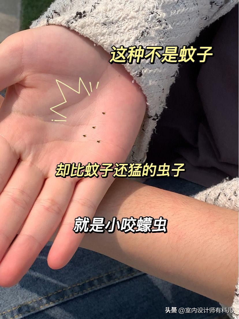 卫生间里撒一把食盐真是太聪明了,卫生间里撒把盐一年能省不少钱