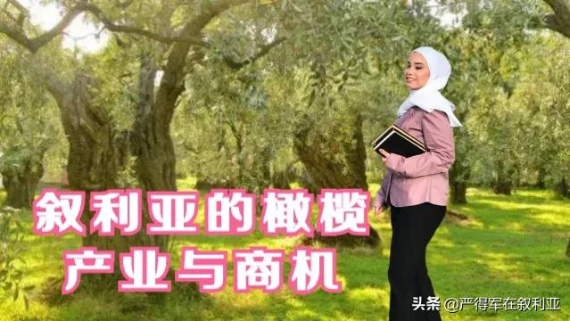 叙利亚农业商机,叙利亚主要产业