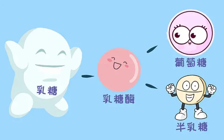 早上起床，应该让宝宝先喝奶还是先吃饭？顺序不对伤肠胃？