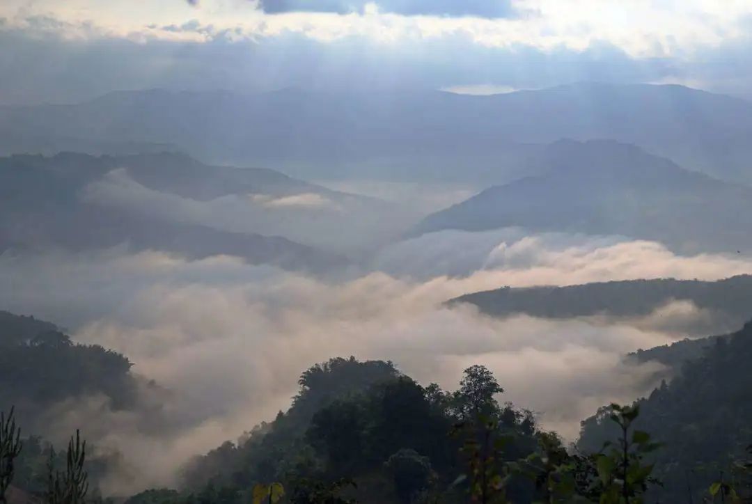 李赛高是不是诈骗犯,李赛高真的是诈骗犯吗