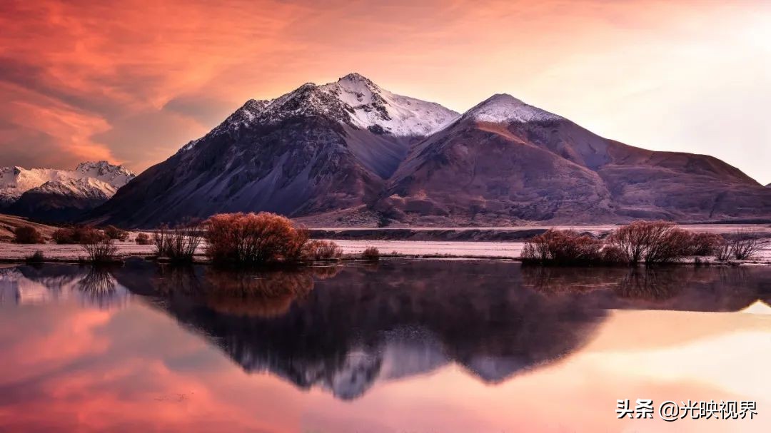 科学与艺术结合，展现自然之美——2021年世界自然摄影奖获奖作品