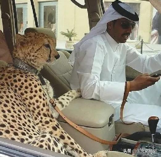 为什么富豪们如此青睐新加坡,新加坡为什么如此有钱