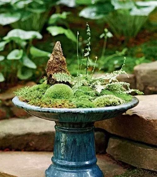 男子上山采药意外采到红石,农村小伙上山摘野果不小心摔倒了