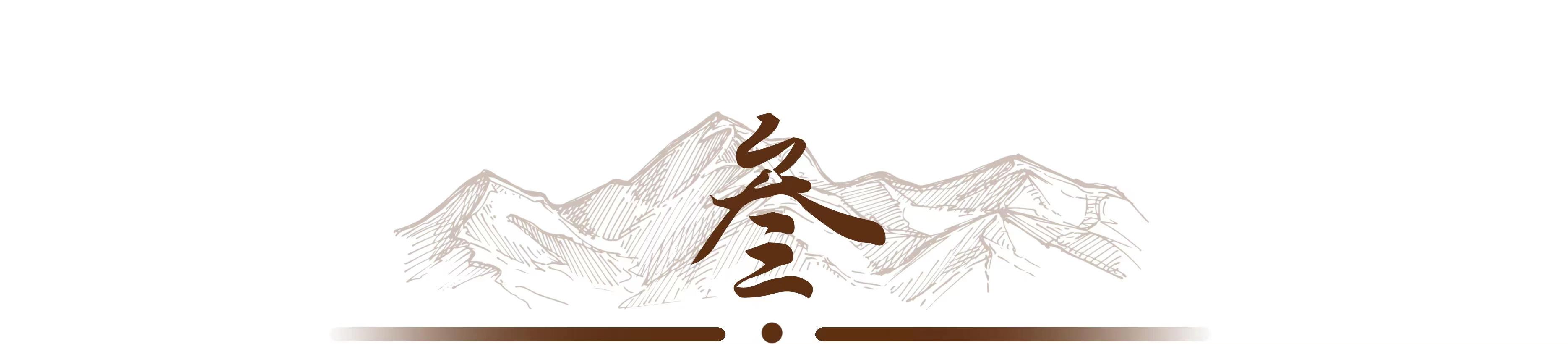 2019年，南京夫妇花95万代孕生下龙凤胎，抱回孩子后麻烦接连不断