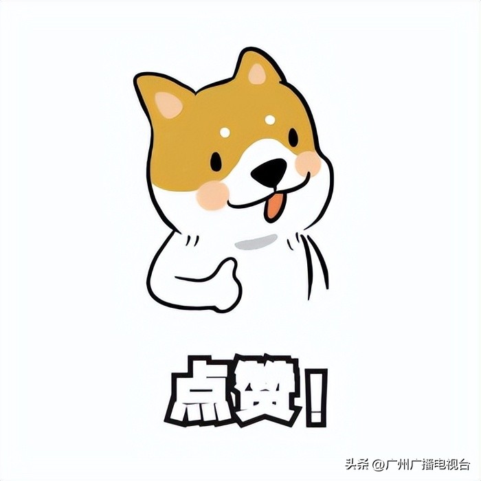 广州市省博物馆参观攻略,go带你去看世界