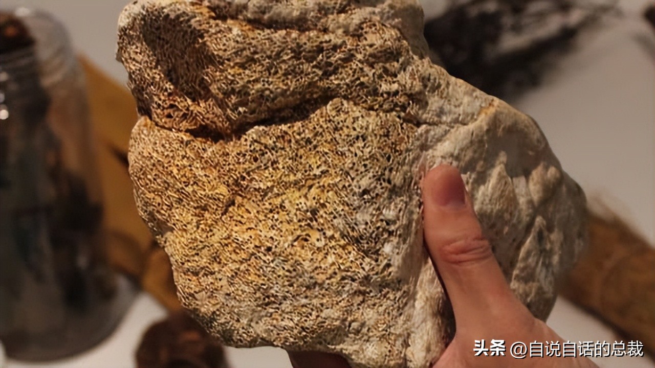 美洲发现象形文字,美洲发现中国古文