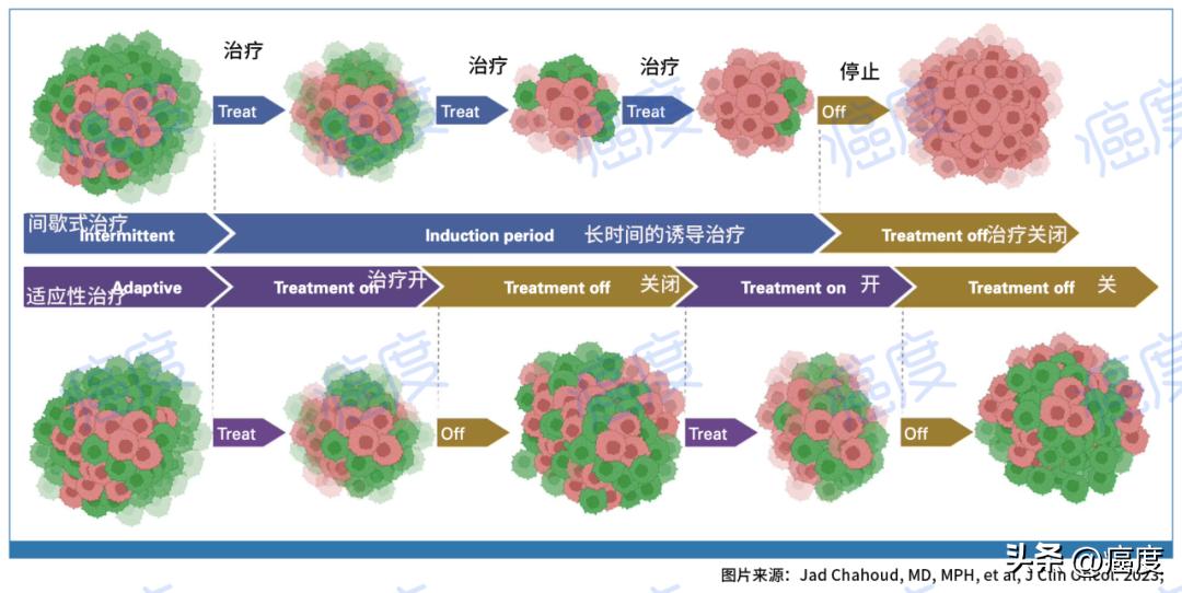 癌症保守治疗和激进治疗,癌症最佳细胞疗法