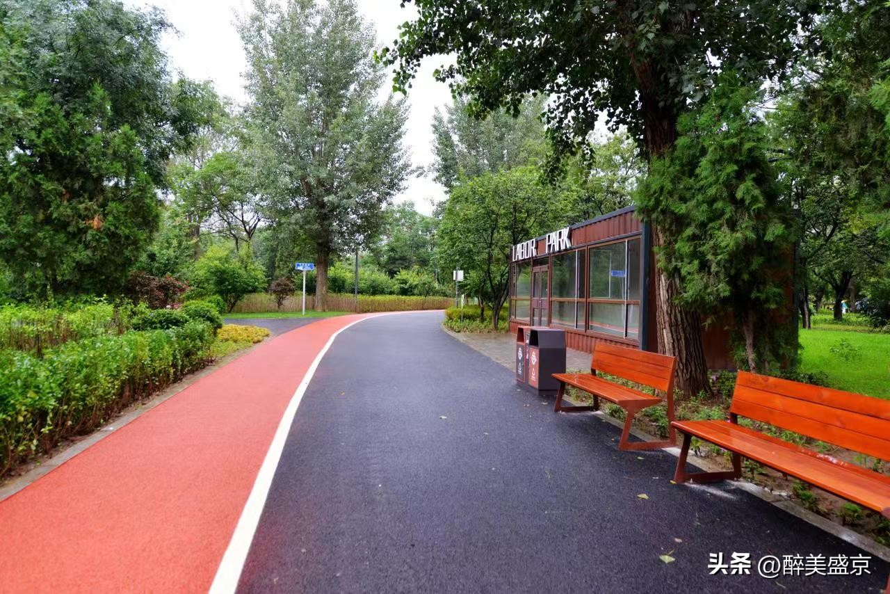 沈阳劳动公园曝光不文明行为,城管整治沈阳劳动公园