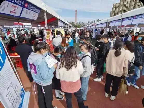 当“驱鸟员”又何妨？先就业、后择业，职业成功不必非得从一而终