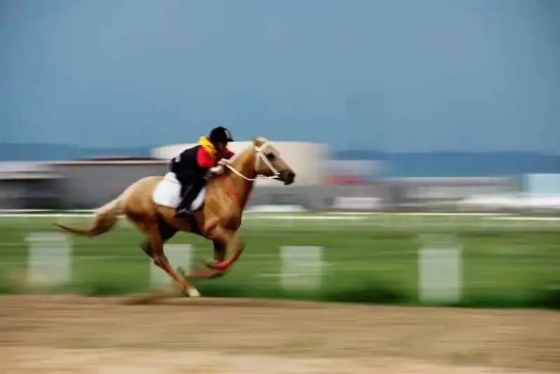 来打卡！锡林郭勒十大网红打卡地