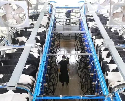 皇氏集团股份有限公司电话,皇氏集团股份有限公司官网