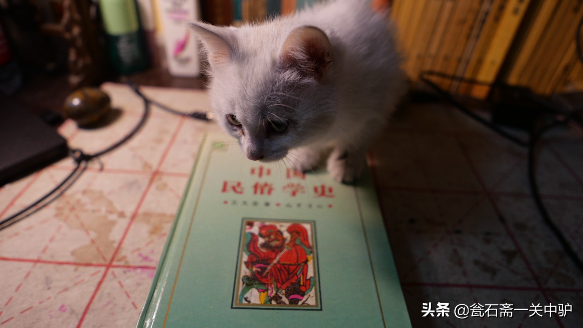 民俗学基本知识,中国民俗文化学习通答案