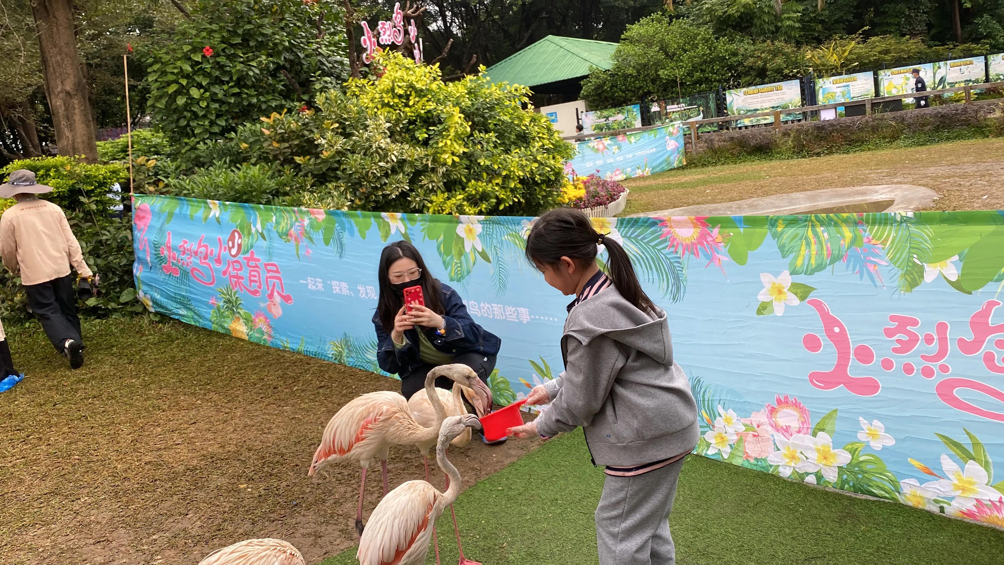 广州长隆度假区游玩攻略预算,广州长隆度假区最全游玩攻略