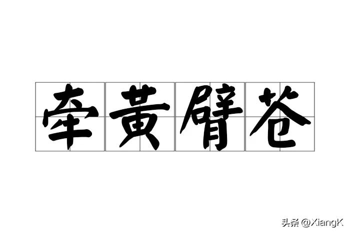 一天一成语:牵黄臂苍