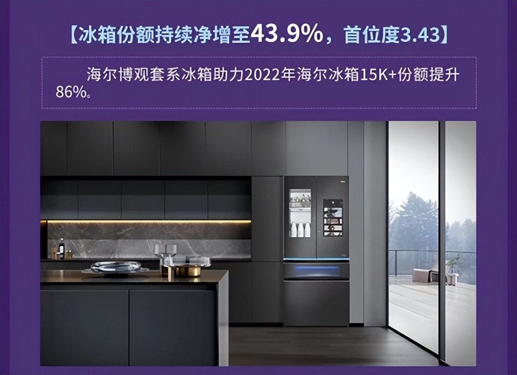 海尔冰箱份额第一,海尔冰箱连续13年全球销量第一