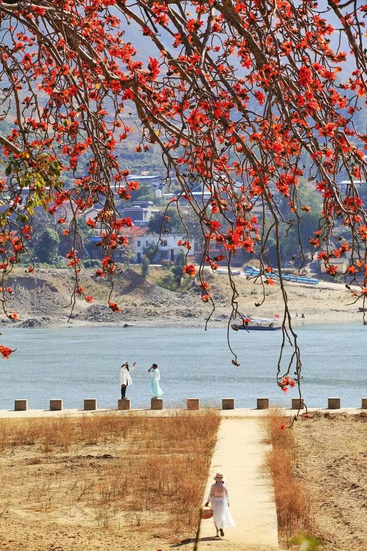 四川攀枝花城市风景,四川攀枝花城市介绍