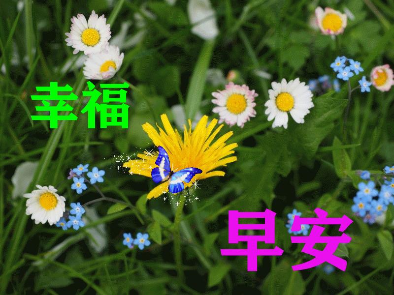 最新最美雨天早上好问候文字图片,夏日里最美的早晨问候图片大全