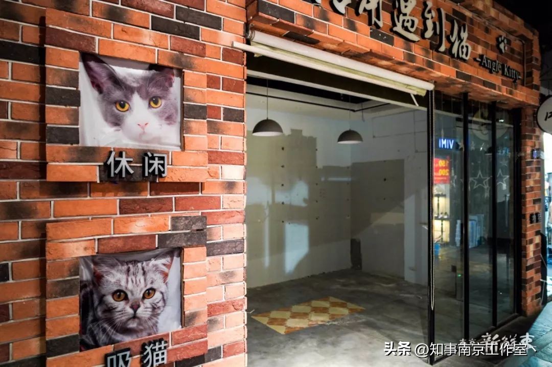 那一年，南京人曾经与莱迪，短暂说再见！