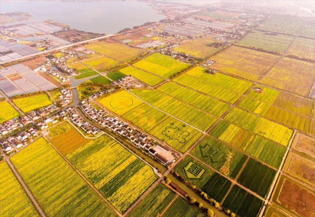 最美婺源油菜花跟风来一下,苏州自驾到婺源看油菜花的地方