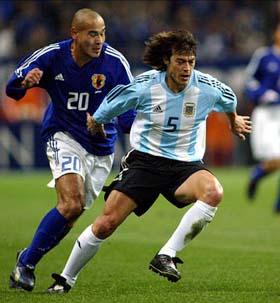 潘帕斯雄鹰长啥样,潘帕斯雄鹰长什么样