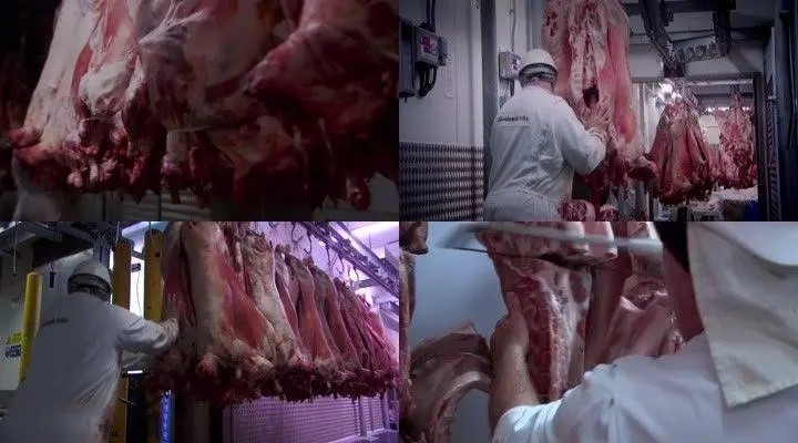 美国一个肉厂,就能控制老百姓,看看被资本控制的国家到底有多惨