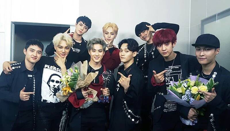 exo出道10周年专辑有朴灿烈吗,exo朴灿烈年龄排名