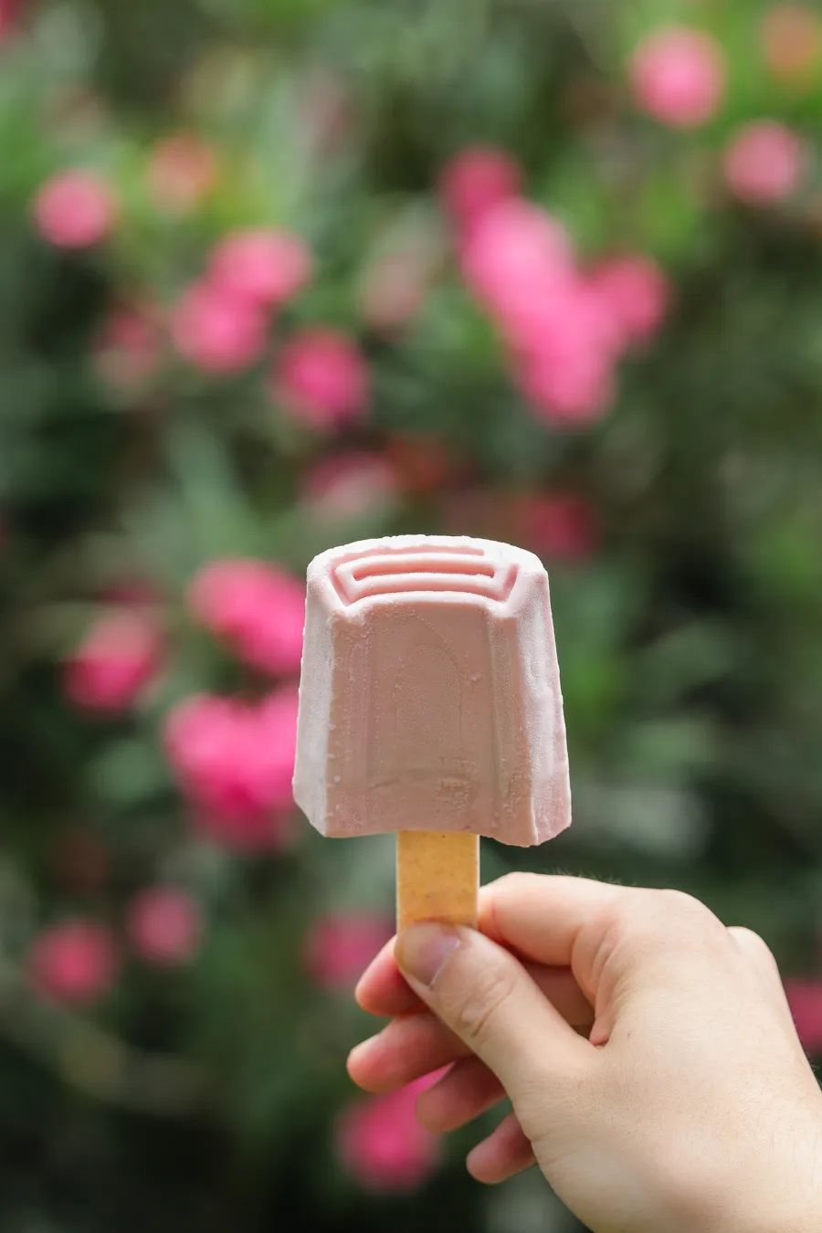 今夏这18根雪糕刺客，扎得我痛彻心扉