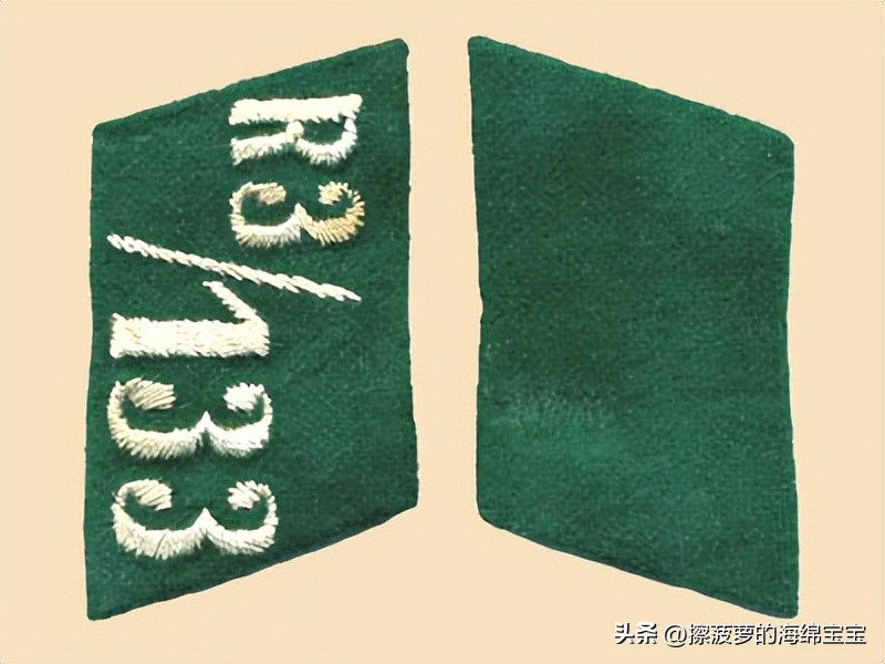 纳粹冲锋队用的什么枪,纳粹德军军衔图解