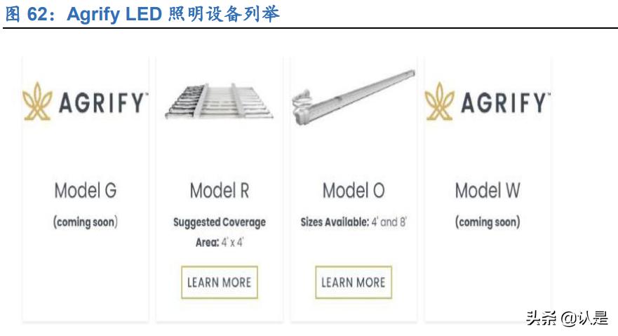 工业大麻的未来发展,工业大麻的未来前景