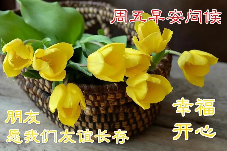 早安心语正能量语录简短句子图片,2020.12.9早安心语正能量走心语录