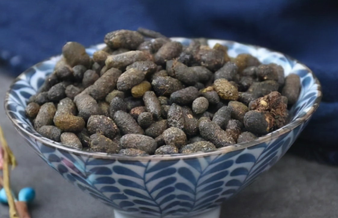 粪便入药到底是愚昧还是科学,中医粪便入药原理