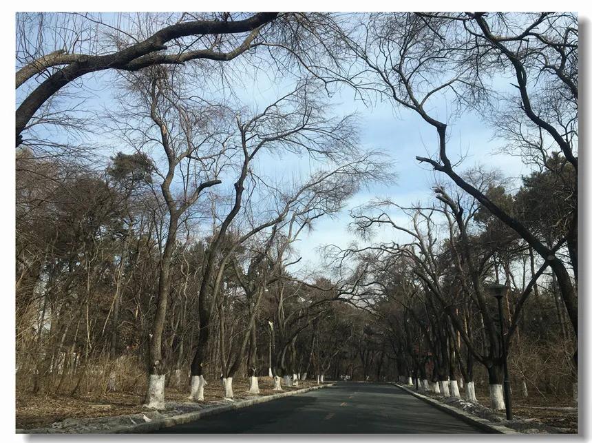 打卡人世间拍摄地,长春人世间取景地宾馆