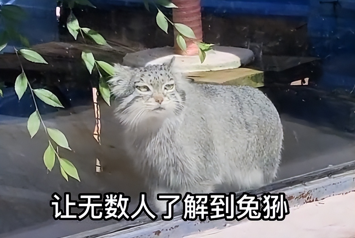 中国最大无人动物园,中国十大动物园红山动物园