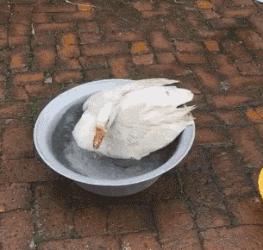 兄弟抢红包是挺快的，就是有点费手机，这屏幕得经常换吧，哈哈哈