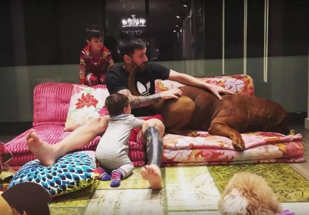 梅西传射10分钟视频,梅西传射破门