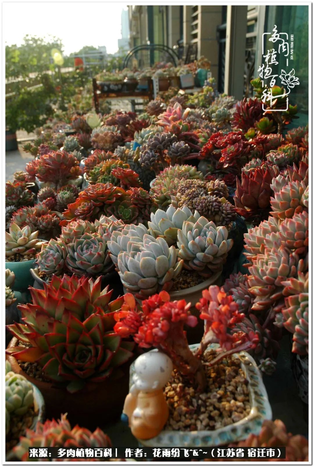 快乐的童年时光视频,回味快乐的童年美好的时光