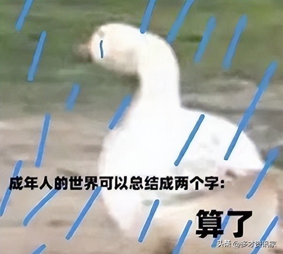 乌鸦坐飞机成龙历险记,乌鸦坐飞机小猴坐飞机