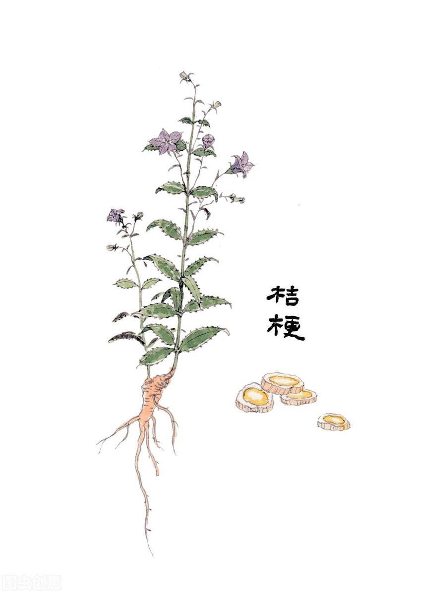 胸痛如刀刺，身体有淤血，不通则痛，一味中药轻松解决，宽畅胸膈