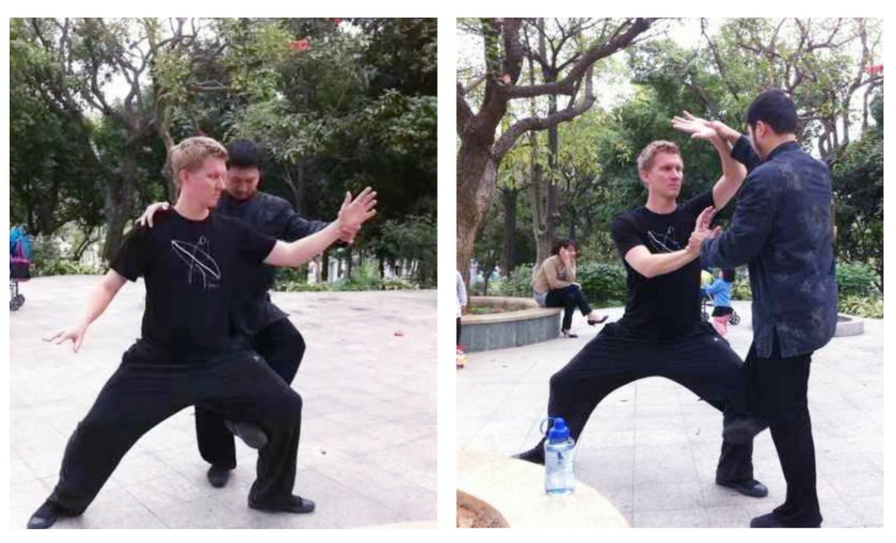 杨式太极·嫡系真传—张寅老师